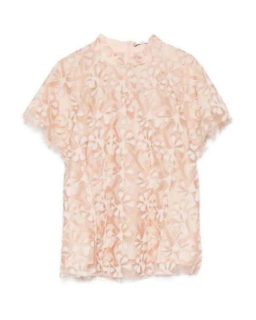 HUI Pink Daisy