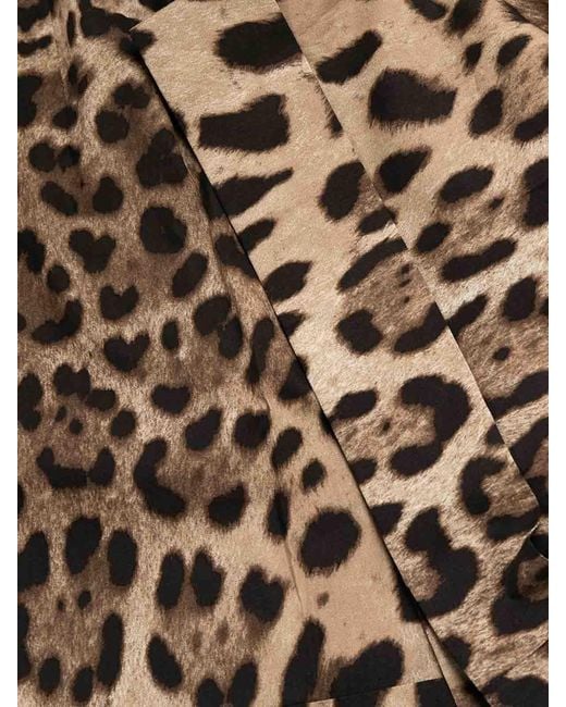 Dolce & Gabbana Multicolor High-Rise Leopard-Print Cotton Short Shorts