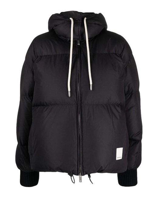 Emporio Armani Black Navy Padded Hooded Jacket Down-feather