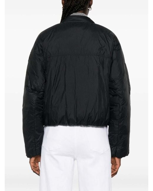 Canada Goose Black Jackets