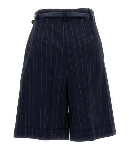 Max Mara Blue Mstere