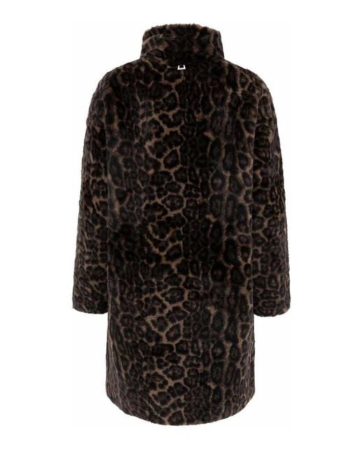 Apparis Black Blair Leopard Coat