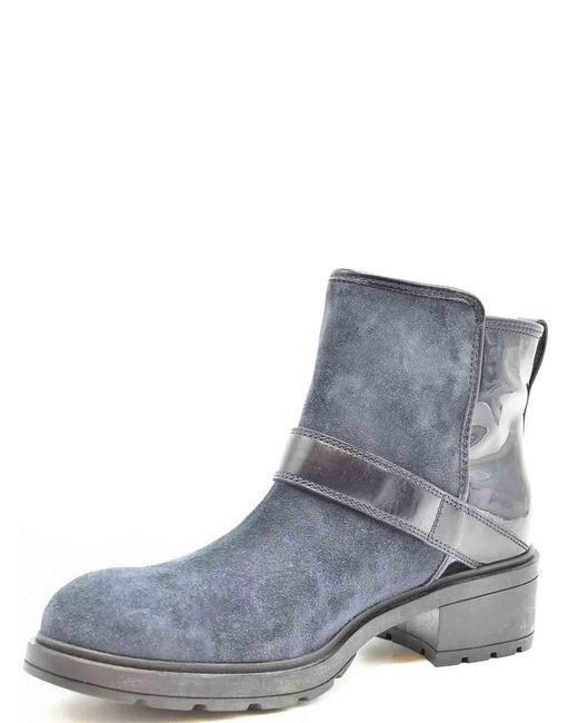 Hogan Blue Booties