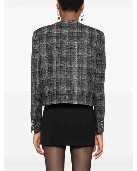 Blazé Milano Gray Short Jacket