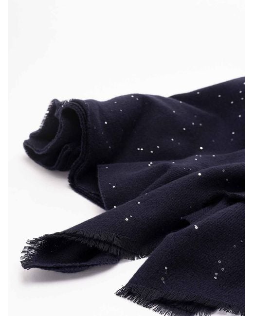 Peserico Blue Scarf