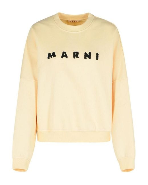 Marni Metallic Ivory Cotton Sweatshirt