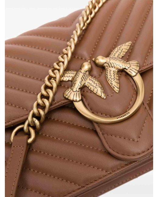 Pinko Brown Bag