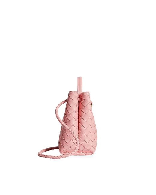 Bottega Veneta Pink Andiamo Small Leather Bag