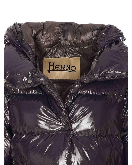 Herno Purple Stylish Jacket