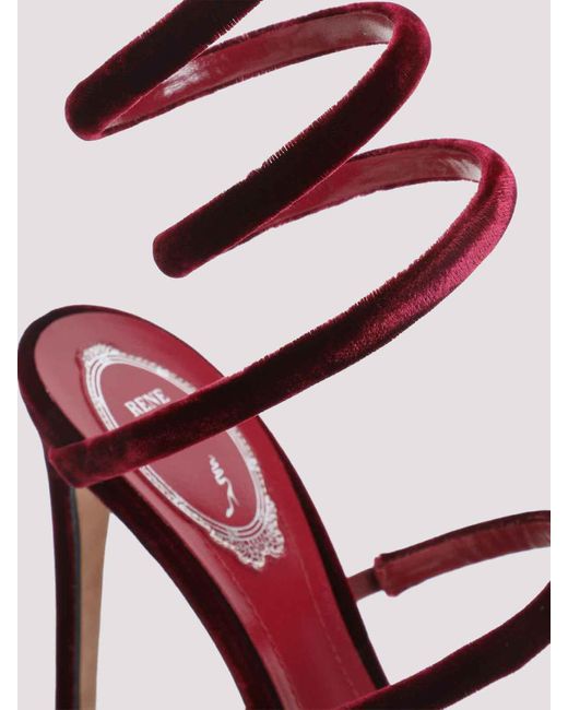 Rene Caovilla Pink Ren Caovilla Velvet Snake Sandals