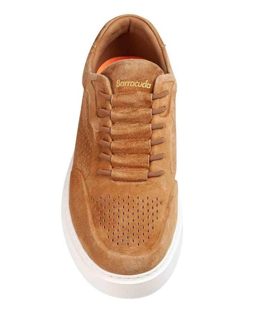 Barracuda Brown Phoenix Slip-On Sneaker for men