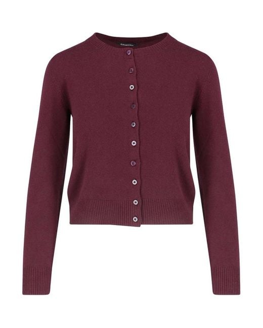 Canessa Purple Cardigan With Bicolor Crop Knit
