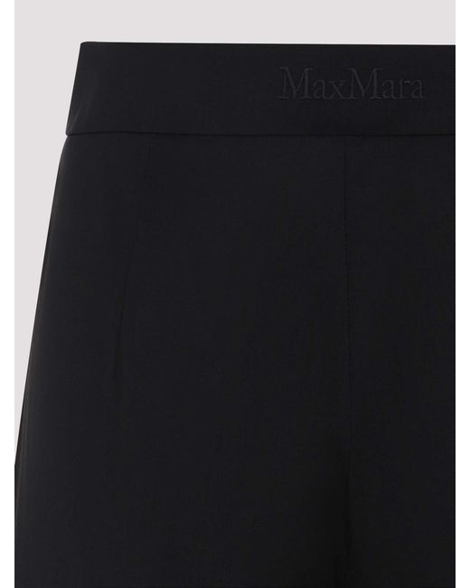 Max Mara Black Fernet Straight Pants