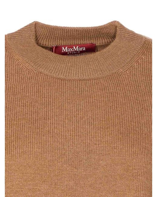 Max Mara Brown Pisan