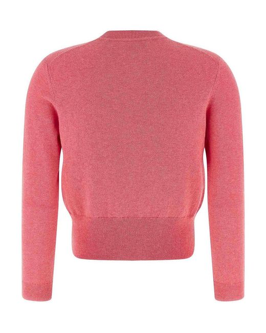 Isabel Marant Pink Newton Sweaters And Cardigans