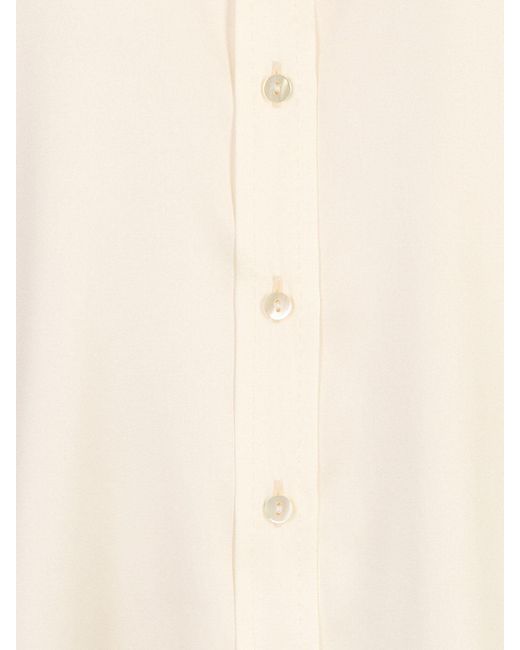 Q-WINS White Aster