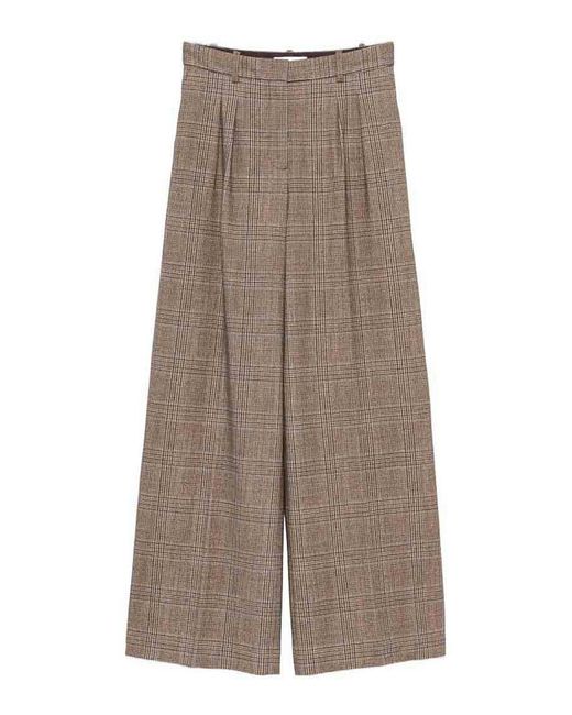 Circolo 1901 Gray Pants