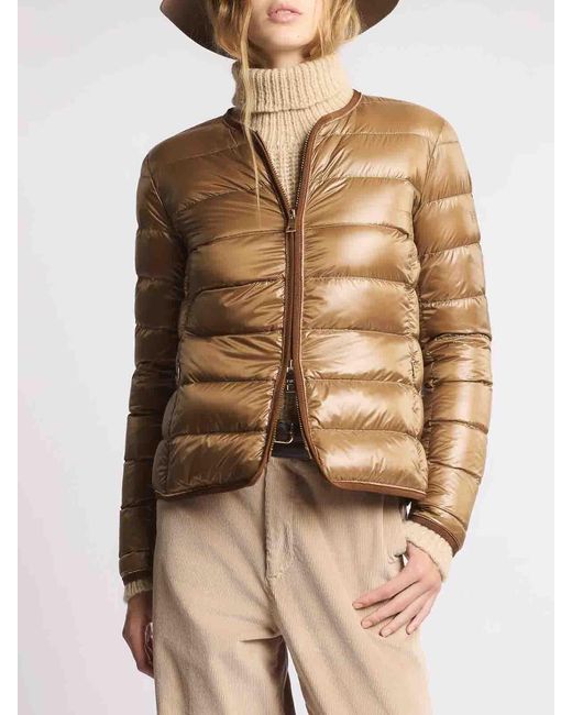 Fay Brown Light Girocbordgros+Caten