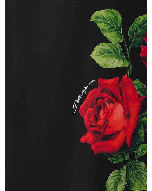 Dolce & Gabbana Red Roses Print Midi Skirt