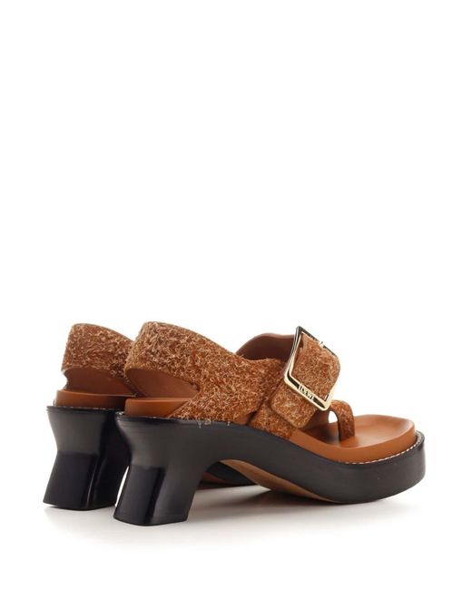 Loewe Brown Ease Thong Sandals