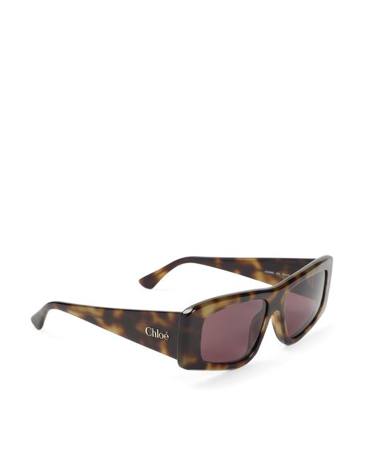Chloé Brown Acetate Sunglasses