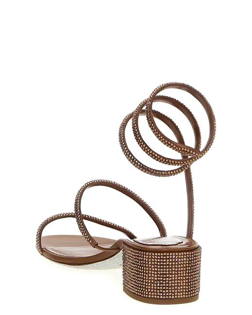 Rene Caovilla Brown Cleo Sandals