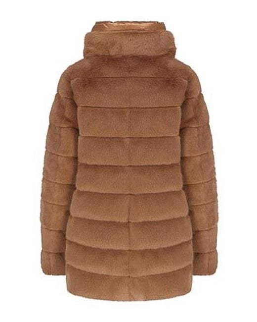 Herno Brown Down Jacket