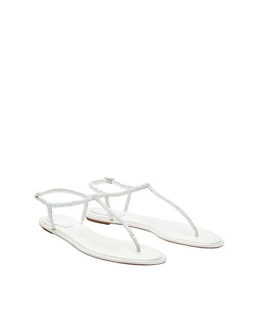 Rene Caovilla White Thong