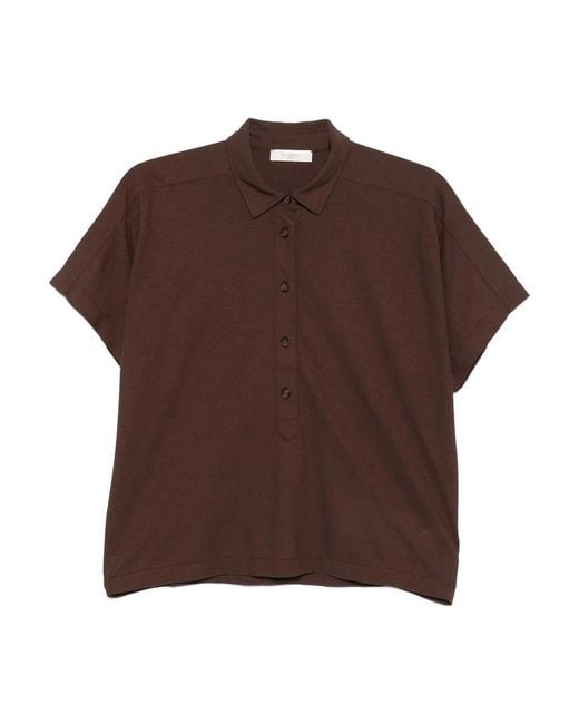 Zanone Brown V Polo Mc