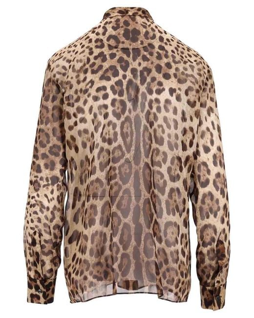 Dolce & Gabbana Brown Leopard Print Chiffon Shirt