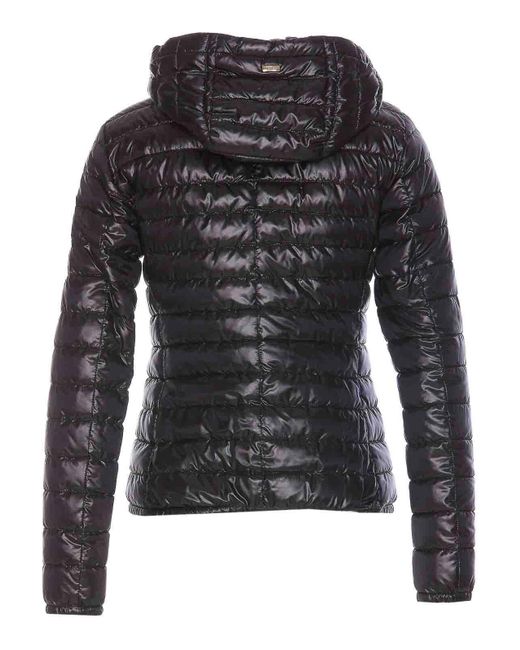 Giacca di Herno in Black