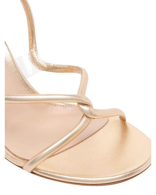Gianvito Rossi Natural Mamba Pump Sandals