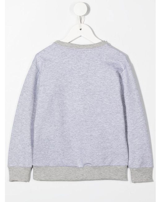 Roberto Cavalli Gray Logo-Print Cotton Sweatshirt for men
