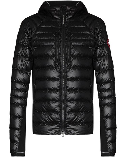 Canada Goose Black Hybridge Lite Padded Jacket for men