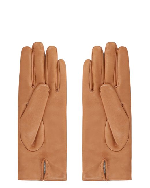 Guanti Spalato in nappa di Max Mara in Brown