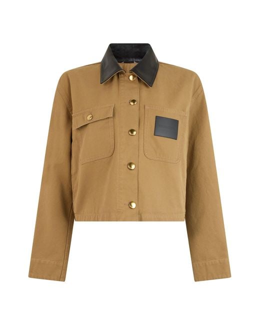 Balenciaga Natural Short Jacket With Dark Elegant Collar