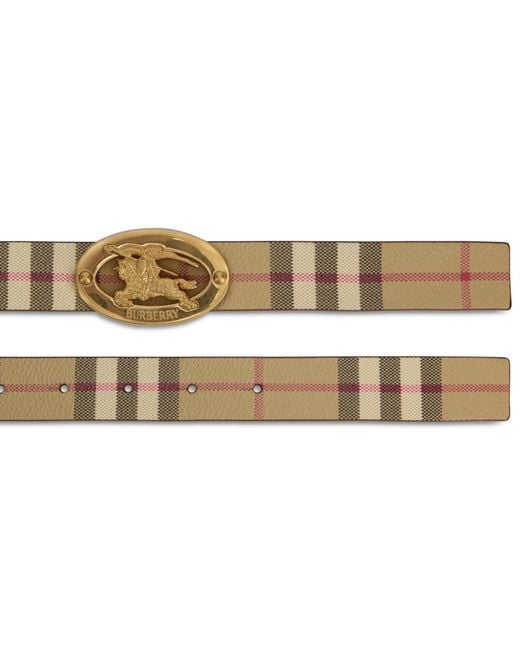 Burberry Brown Belt With Golden Buckle