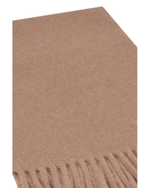 Max Mara Brown Scilli Scarf In Wool