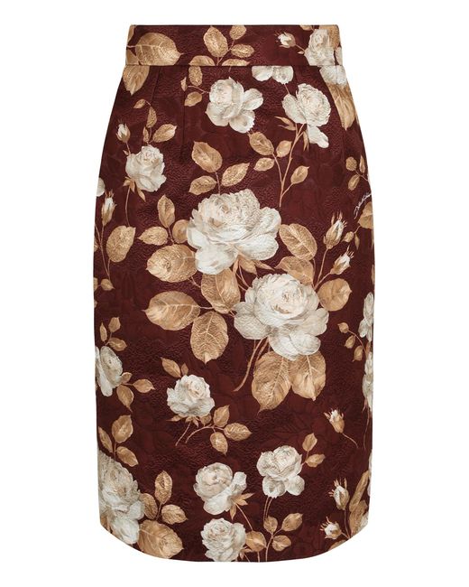 Dolce & Gabbana Brown Gonna Print Rose