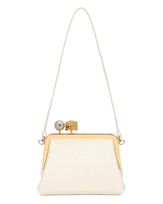 Jacquemus Natural Bag Le Berlingot