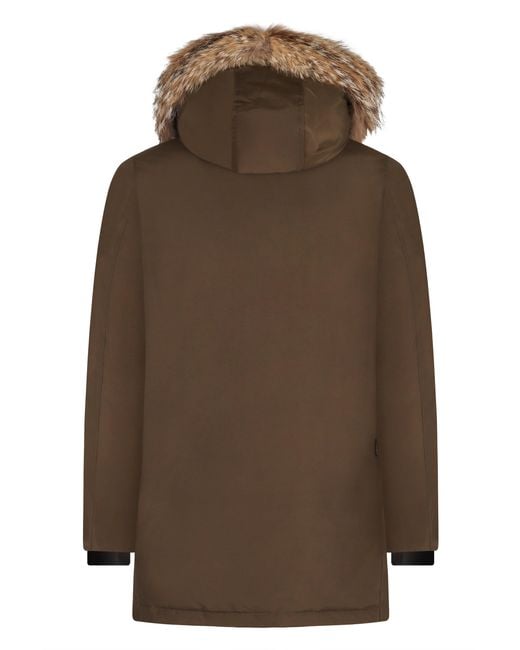 Woolrich Brown Classic Arctic Parka for men