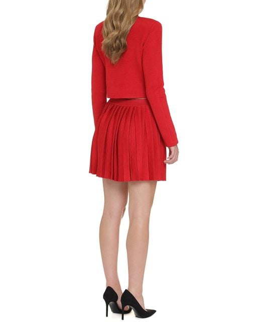 Self-Portrait Red Skirts