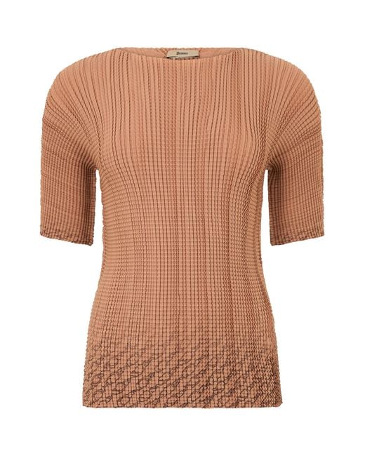 Herno Brown Fitted Short-Sleeve Top With Texture