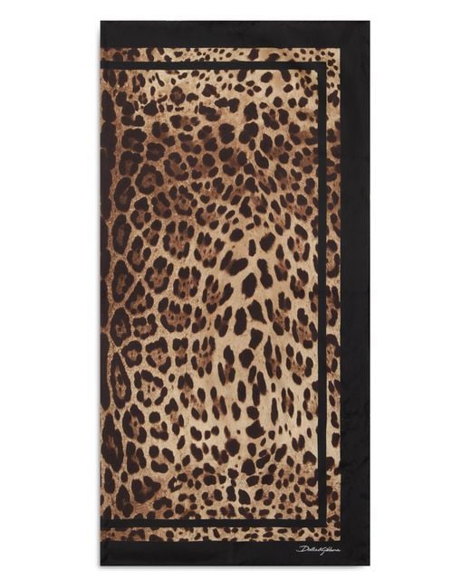 Dolce & Gabbana Brown Animal Print Scarf