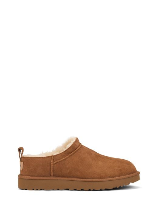 Ugg Brown Classic Micro Slippers