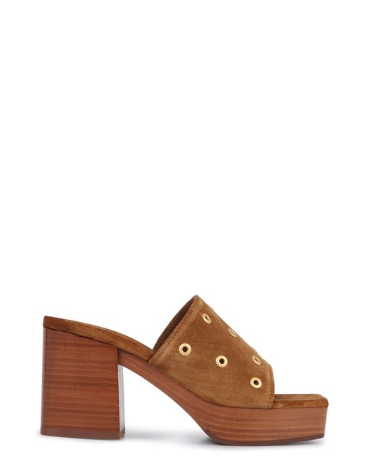Gianvito Rossi Brown Suede Mules