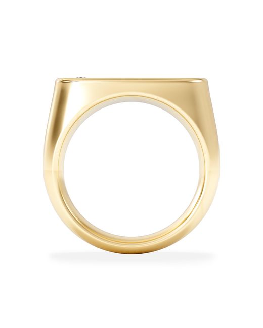The Diamond Store Metallic Crest 0.03Ct Lab Diamond Oblong Signet Ring for men