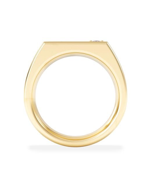 The Diamond Store Metallic Crest 0.03Ct Lab Diamond Rectangle Signet Ring for men