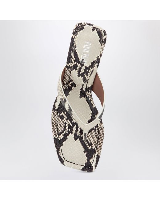 Slides Tong Avec Imprimé Python Paris Texas en coloris White