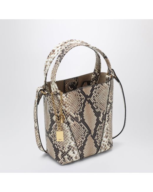 Chloé Metallic Small Spin Tote Bag